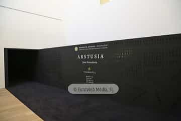 Museo de Bellas Artes de Asturias