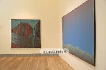 Museo de Bellas Artes de Asturias