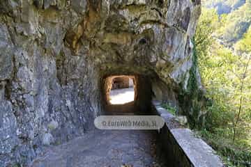 Cueva - Exposición Queso Cabrales. Cueva del Quesu