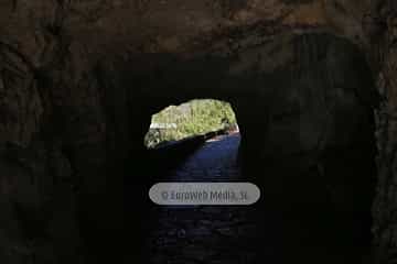 Cueva - Exposición Queso Cabrales. Cueva del Quesu