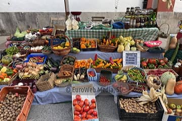 Festival de la Manzana de Villaviciosa