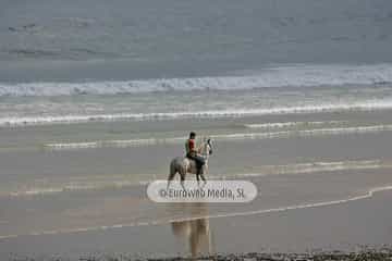 Carrera de Caballos «Playa de Ribadesella»