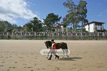 Carrera de Caballos «Playa de Ribadesella»