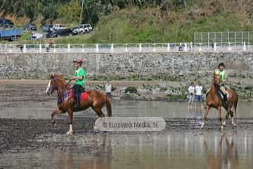 Carrera de Caballos «Playa de Ribadesella»