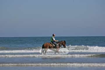 Carrera de Caballos «Playa de Ribadesella»