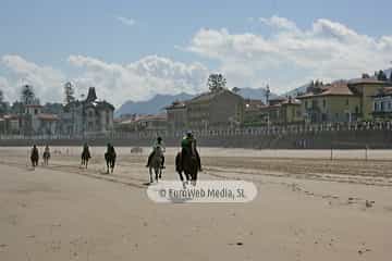 Carrera de Caballos «Playa de Ribadesella»