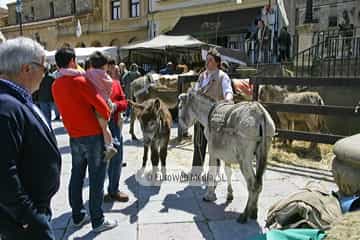 Fiesta y feria de la Ascensión de Oviedo. Fiesta de la Ascensión de Oviedo