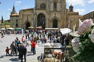 Fiesta y feria de la Ascensión de Oviedo. Fiesta de la Ascensión de Oviedo