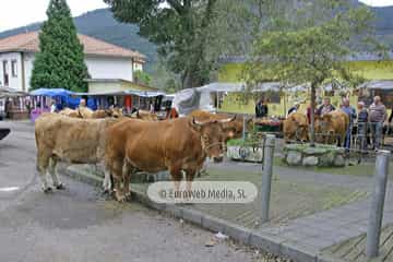 Feria anual de ganados de San Martín