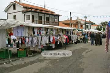 Feria anual de ganados de San Martín