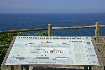 Paisaje Protegido del Cabo Peñas