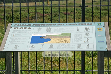 Paisaje Protegido del Cabo Peñas