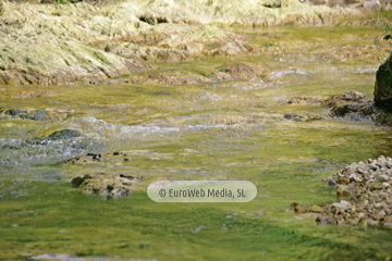 Río Ereba (Nueva). Río Ereba