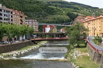 Río Narcea (Cangas del Narcea). Río Narcea