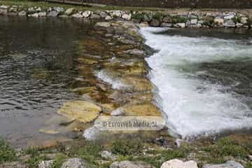 Río Narcea (Cangas del Narcea). Río Narcea