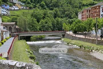 Río Narcea (Cangas del Narcea). Río Narcea