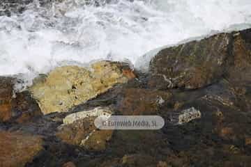 Río Narcea (Cangas del Narcea). Río Narcea