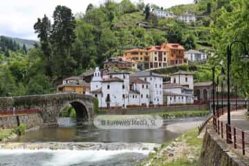 Río Narcea (Cangas del Narcea). Río Narcea