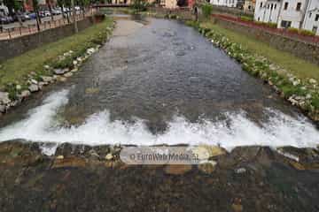 Río Narcea (Cangas del Narcea). Río Narcea