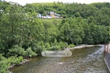 Río Narcea (Cangas del Narcea). Río Narcea