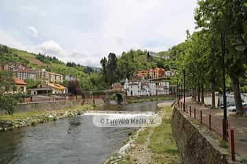 Río Narcea (Cangas del Narcea). Río Narcea