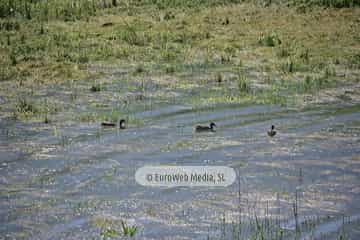Embalse de Rioseco