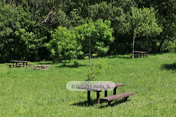 Área recreativa Pormenande