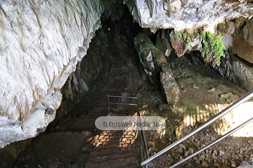 Cueva de El Pindal. Cueva del Pindal