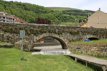 Puente romano de Cangas del Narcea