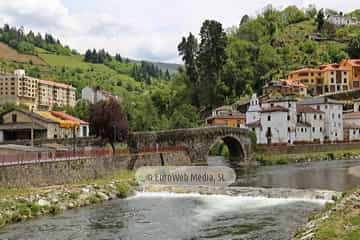 Puente romano de Cangas del Narcea