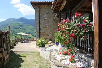 Exteriores. Apartamentos rurales La Escuela