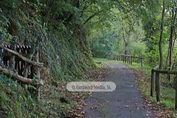 Túneles de la Senda peatonal-Vía verde de Loredo (La Pereda - Loredo - Vega San Pedro). Túneles de la Senda peatonal-Vía verde de Loredo