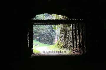 Túneles de la Senda peatonal-Vía verde de Loredo (La Pereda - Loredo - Vega San Pedro). Túneles de la Senda peatonal-Vía verde de Loredo