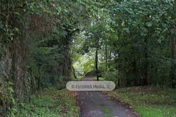 Túneles de la Senda peatonal-Vía verde de Loredo (La Pereda - Loredo - Vega San Pedro). Túneles de la Senda peatonal-Vía verde de Loredo