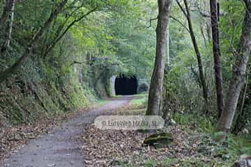 Túneles de la Senda peatonal-Vía verde de Loredo (La Pereda - Loredo - Vega San Pedro). Túneles de la Senda peatonal-Vía verde de Loredo