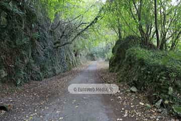 Túneles de la Senda peatonal-Vía verde de Loredo (La Pereda - Loredo - Vega San Pedro). Túneles de la Senda peatonal-Vía verde de Loredo