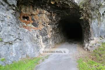Túneles de la Senda peatonal-Vía verde de Loredo (La Pereda - Loredo - Vega San Pedro). Túneles de la Senda peatonal-Vía verde de Loredo