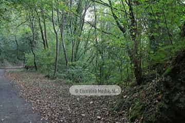 Túneles de la Senda peatonal-Vía verde de Loredo (La Pereda - Loredo - Vega San Pedro). Túneles de la Senda peatonal-Vía verde de Loredo