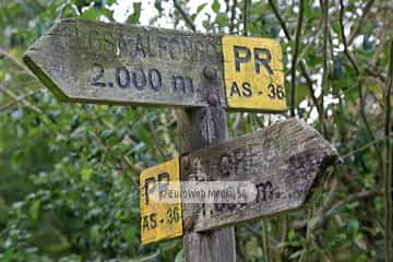 Túneles de la Senda peatonal-Vía verde de Loredo (La Pereda - Loredo - Vega San Pedro). Túneles de la Senda peatonal-Vía verde de Loredo