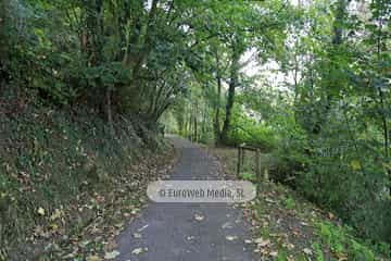 Túneles de la Senda peatonal-Vía verde de Loredo (La Pereda - Loredo - Vega San Pedro). Túneles de la Senda peatonal-Vía verde de Loredo