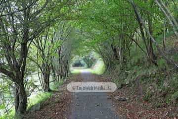 Túneles de la Senda peatonal-Vía verde de Loredo (La Pereda - Loredo - Vega San Pedro). Túneles de la Senda peatonal-Vía verde de Loredo