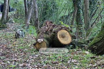 Túneles de la Senda peatonal-Vía verde de Loredo (La Pereda - Loredo - Vega San Pedro). Túneles de la Senda peatonal-Vía verde de Loredo