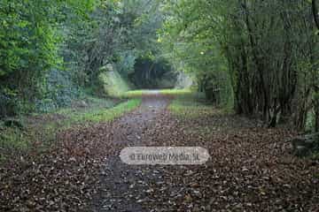 Túneles de la Senda peatonal-Vía verde de Loredo (La Pereda - Loredo - Vega San Pedro). Túneles de la Senda peatonal-Vía verde de Loredo