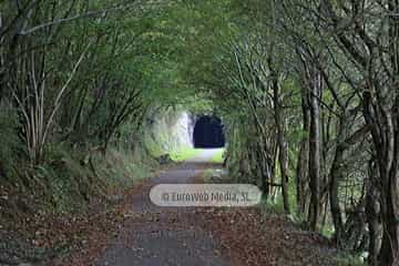 Túneles de la Senda peatonal-Vía verde de Loredo (La Pereda - Loredo - Vega San Pedro). Túneles de la Senda peatonal-Vía verde de Loredo