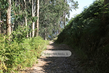 GR AS-19. Senda costera cicloturista BTT y peatonal. Tramo: Bustio - La Franca