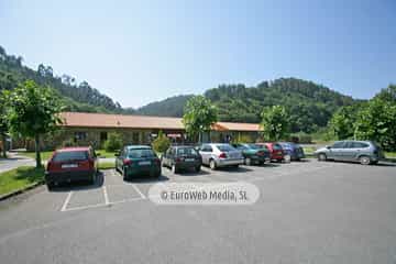 Terraza. Camping San Pedro de La Ribera