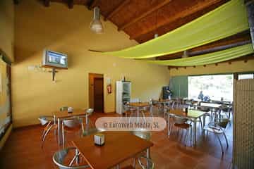 Cafetería. Camping San Pedro de La Ribera