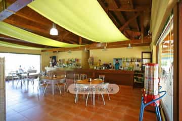 Cafetería. Camping San Pedro de La Ribera