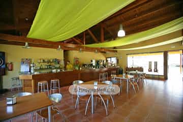 Cafetería. Camping San Pedro de La Ribera