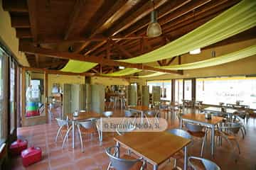 Cafetería. Camping San Pedro de La Ribera